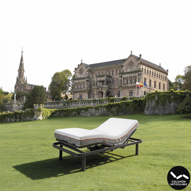 Colchón Viscoelástico + HR Con Funda Lavable Asistencial Vitalux Comillas